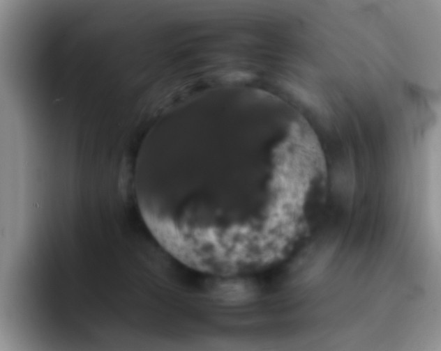 X0000092060181200709262034