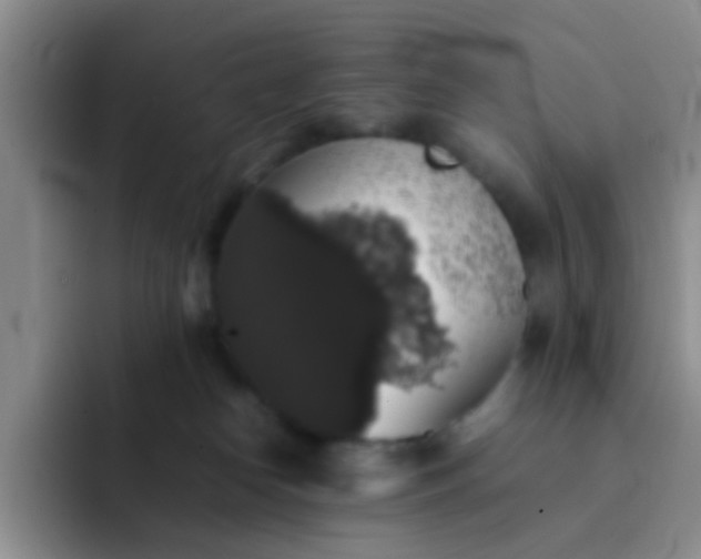 X0000092060182200709262034