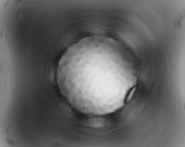 X0000092060185200709262034