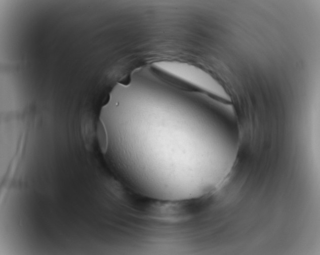 X0000092060186200709262034