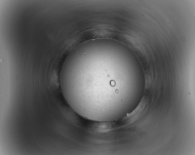 X0000092060187200709262034