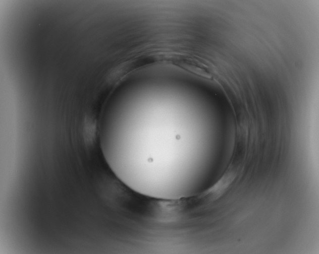 X0000092060188200709262034