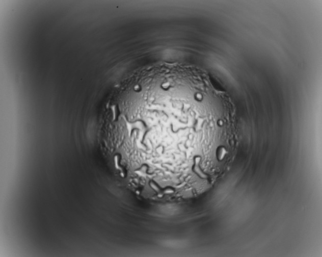 X0000092060189200709262034