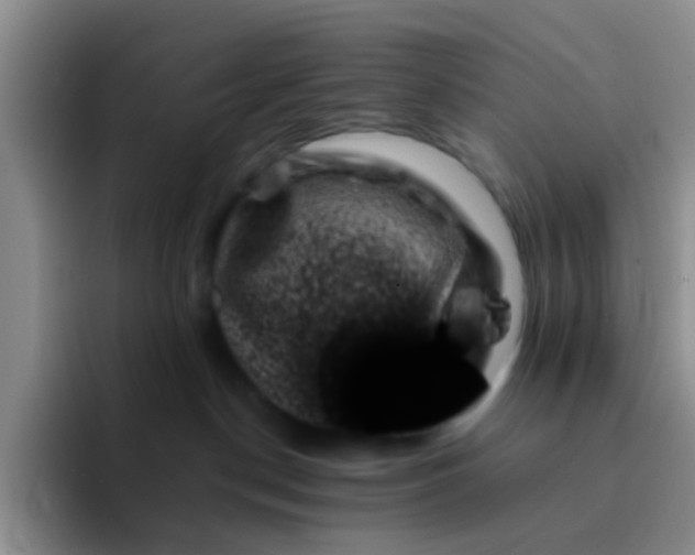 X0000092060190200709262034