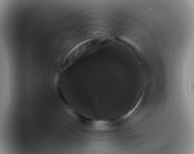 X0000092060192200709262034