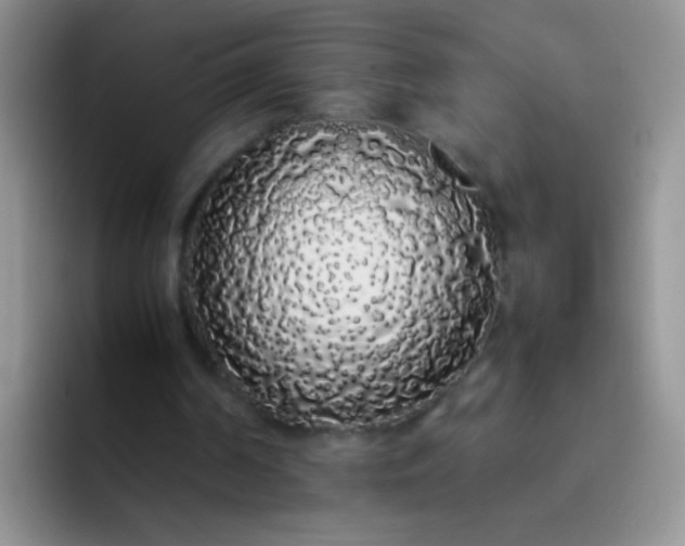 X0000092060194200709262034