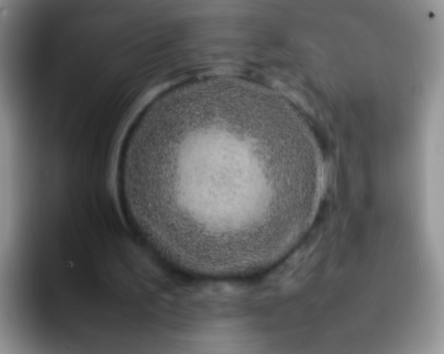 X0000092060195200709262034