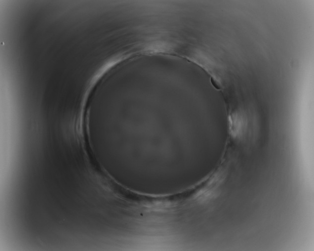 X0000092060196200709262034