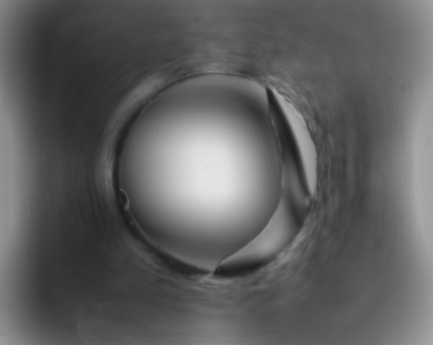 X0000092060197200709262034