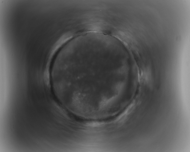 X0000092060198200709262034