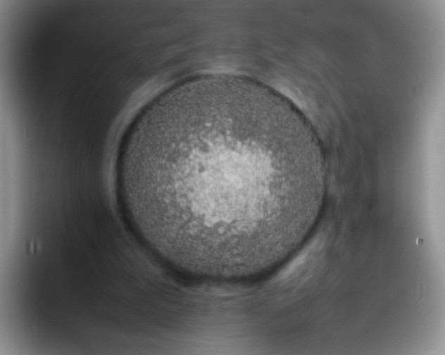 X0000092060199200709262034