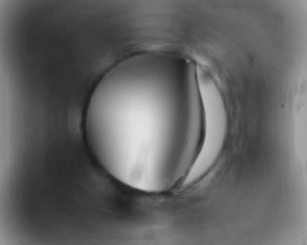 X0000092060201200709262034