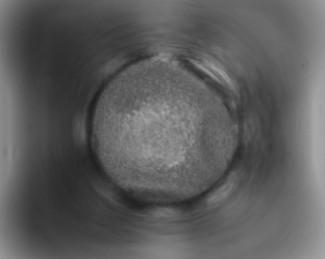 X0000092060203200709262034