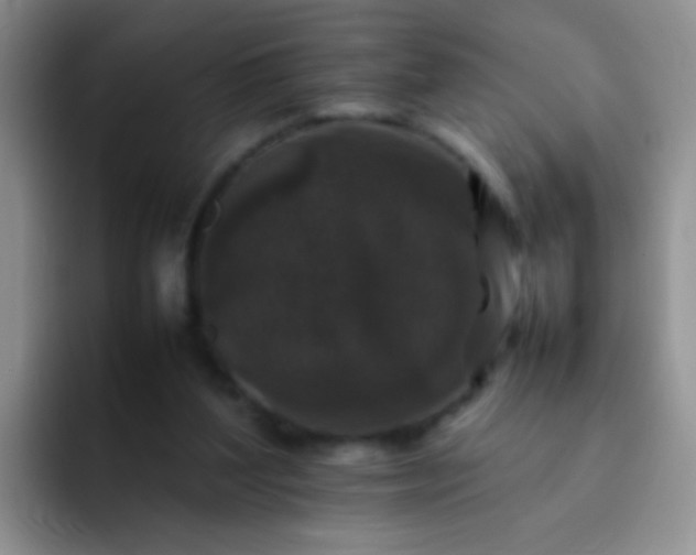 X0000092060204200709262034