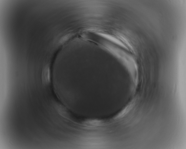 X0000092060205200709262034