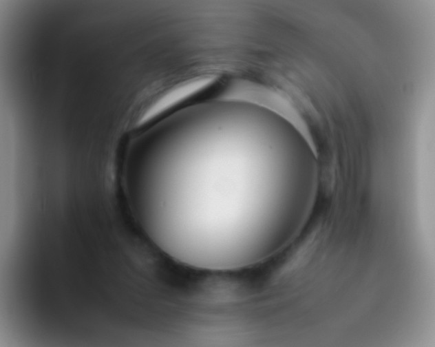 X0000092060207200709262034