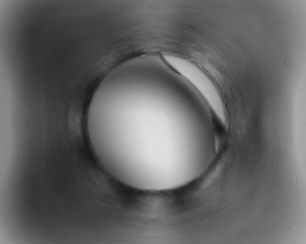 X0000092060209200709262034