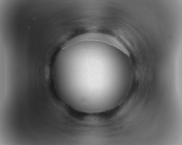 X0000092060211200709262034