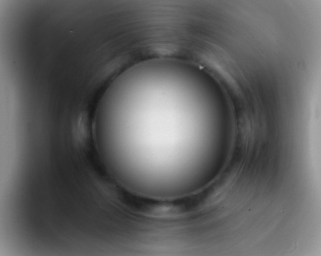 X0000092060212200709262034