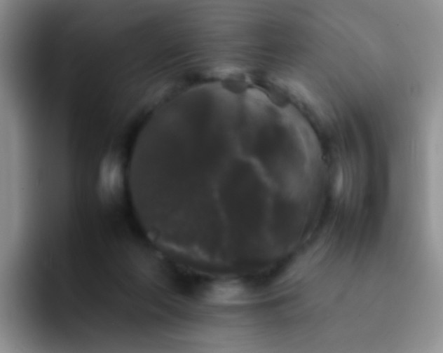 X0000092060214200709262034