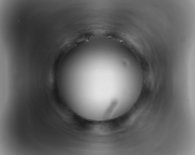 X0000092060215200709262034