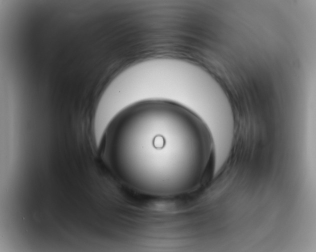 X0000092060220200709262034