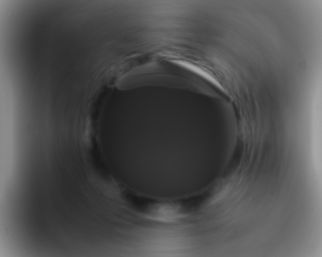 X0000092060223200709262034