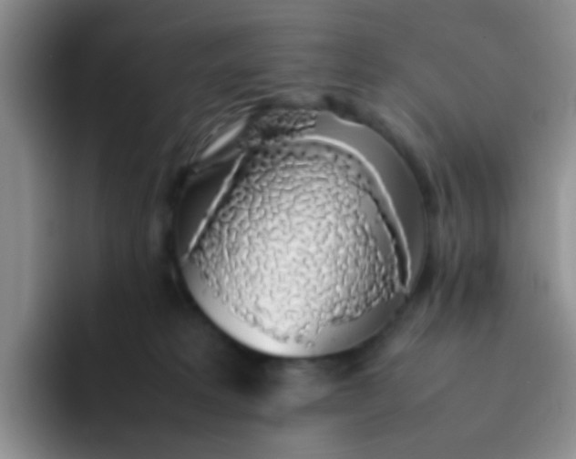 X0000092060229200709262033