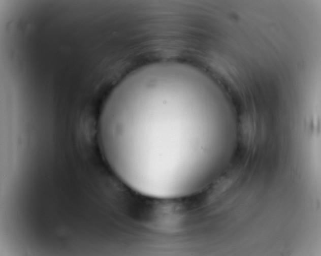 X0000092060230200709262033