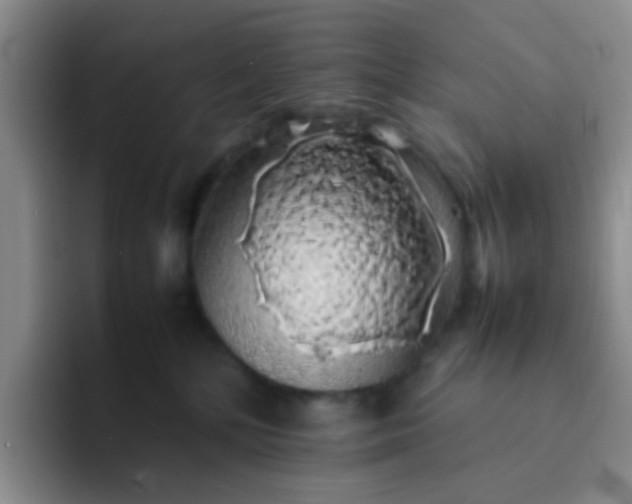 X0000092060232200709262033