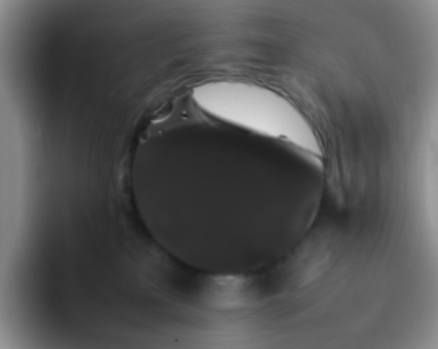 X0000092060233200709262033