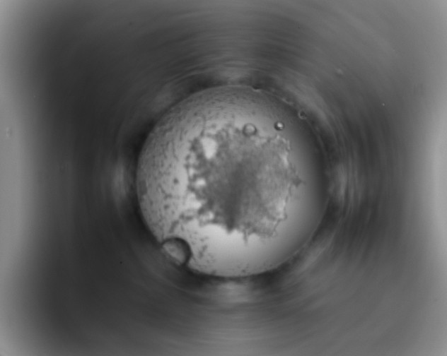 X0000092060236200709262033