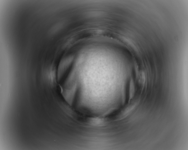 X0000092060238200709262033