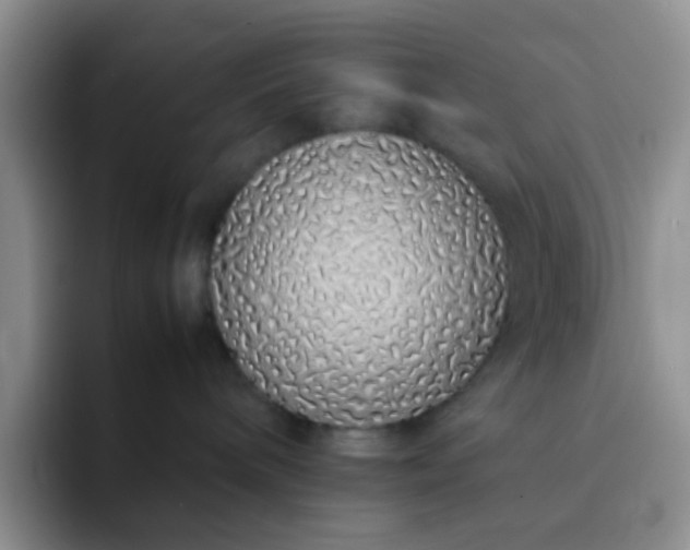 X0000092060240200709262033