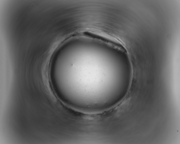 X0000092060241200709262033