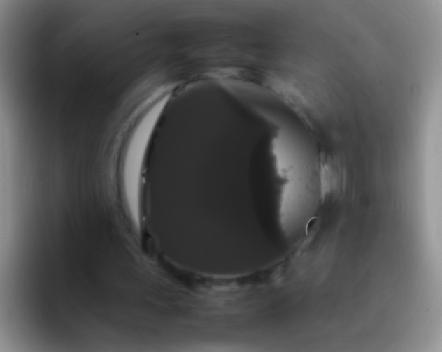 X0000092060243200709262033