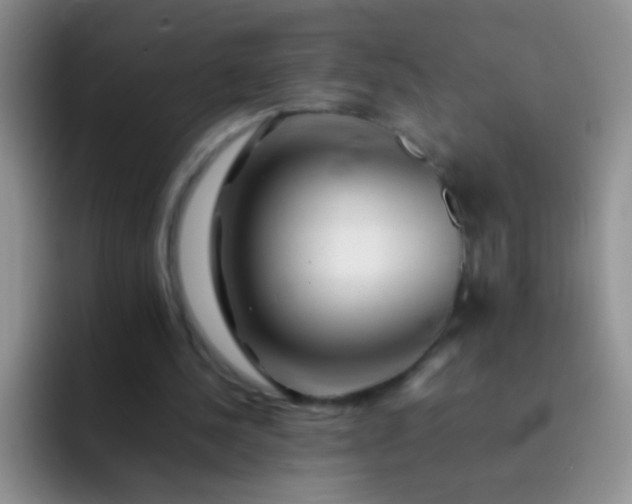 X0000092060244200709262033