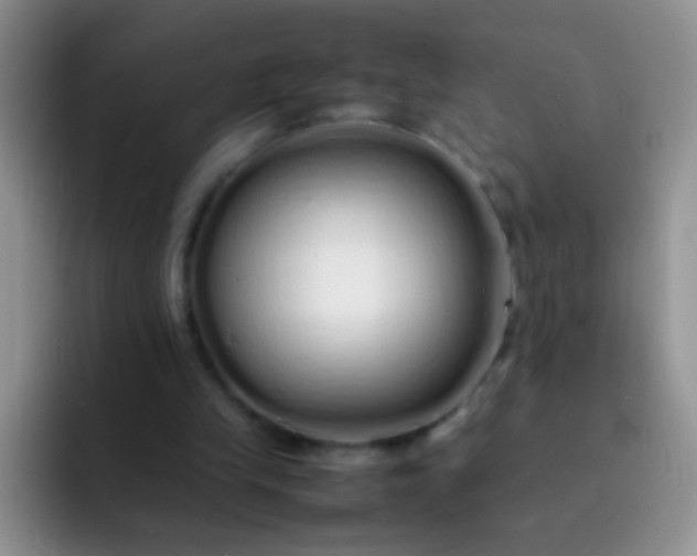 X0000092060245200709262033