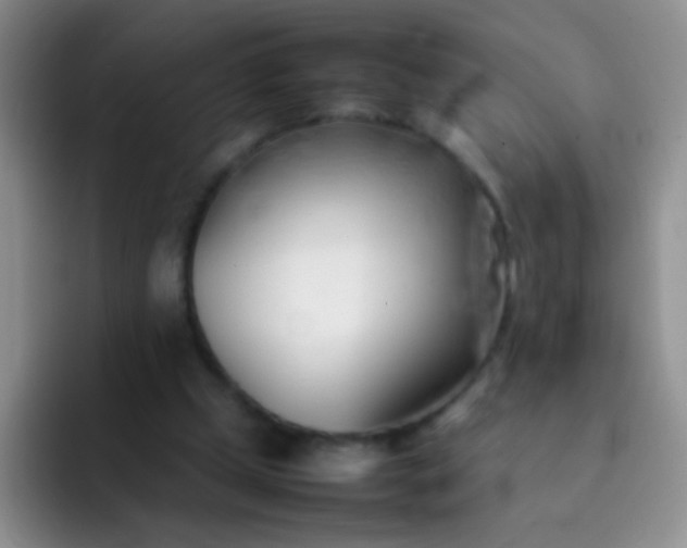 X0000092060249200709262033