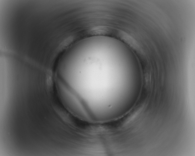 X0000092060254200709262033