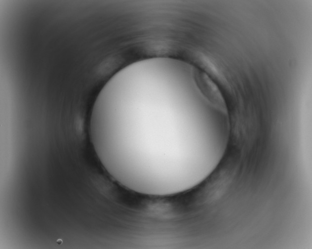 X0000092060258200709262033