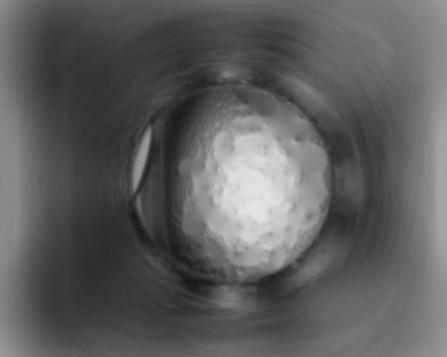 X0000092060269200709262033