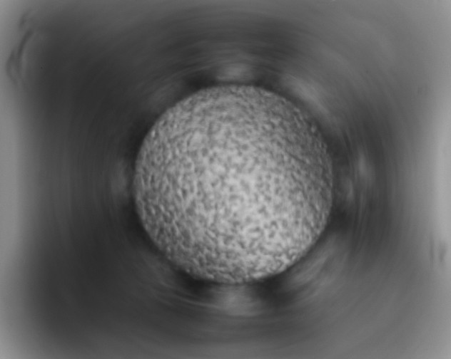 X0000092060273200709262033