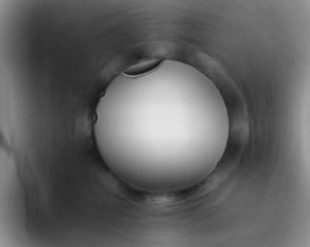 X0000092060282200709262033