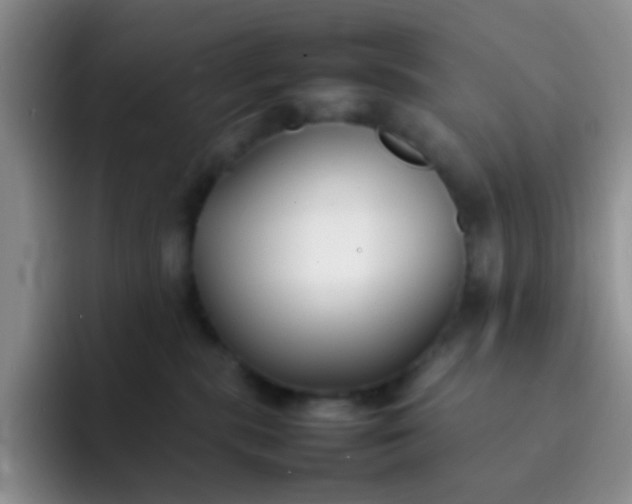 X0000092060283200709262033