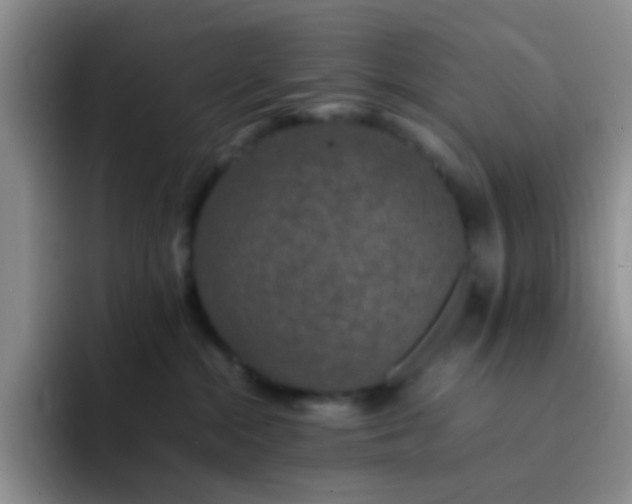 X0000092060284200709262033