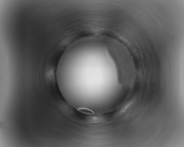 X0000092060286200709262033