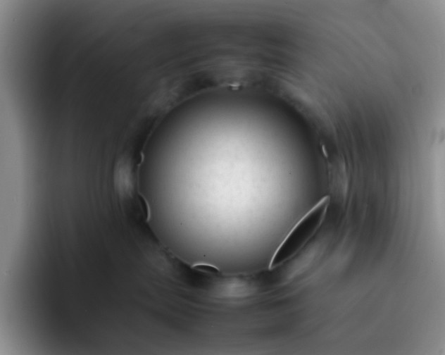 X0000092060287200709262033