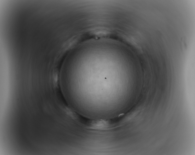 X0000092060288200709262033