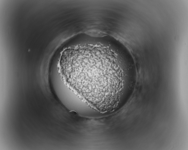 X0000092060290200709262033